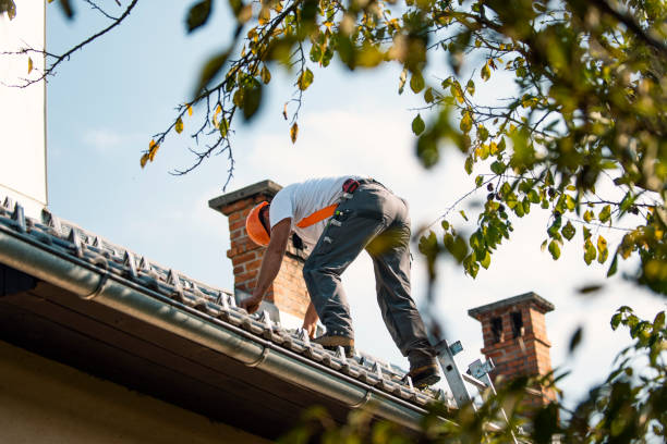 Best Storm Damage Roof Repair  in Rio Bravo, TX