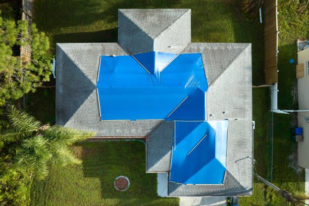 Best Flat Roofing  in Rio Bravo, TX