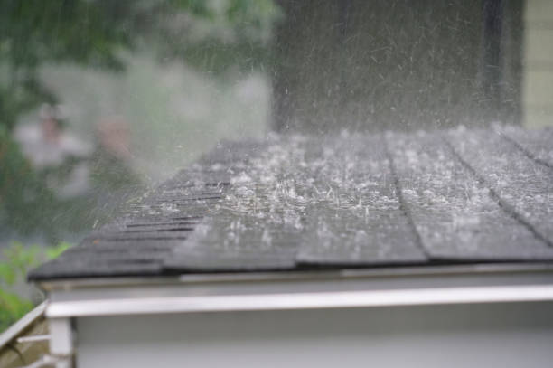 Best Cold Roofs  in Rio Bravo, TX